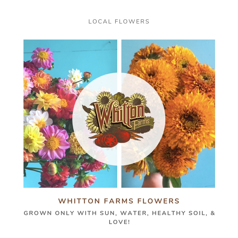 Whitton farms flowers.jpg